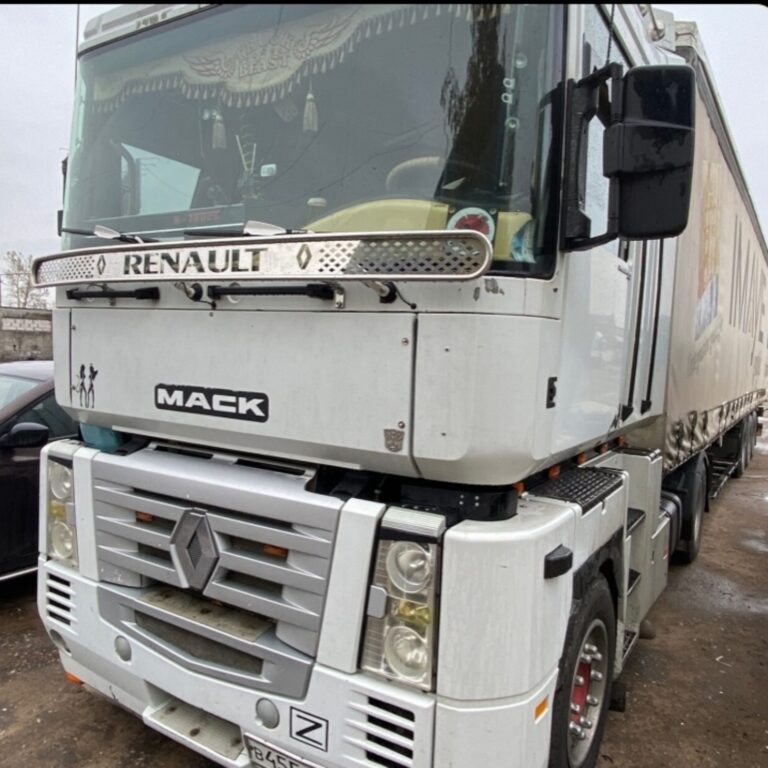 Защита стекла  RENAULT MAGNUM